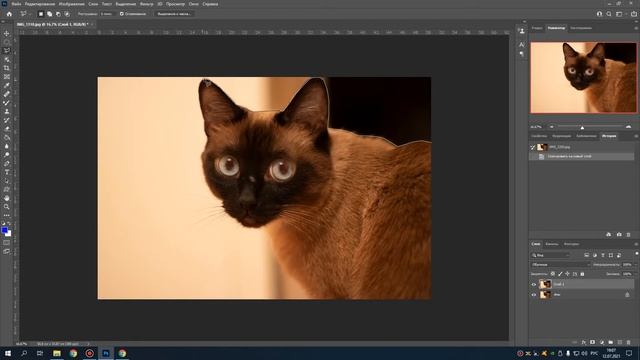 Photoshop 2021. Обзор инструмента лассо.