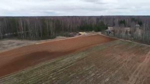 Посев семян ели