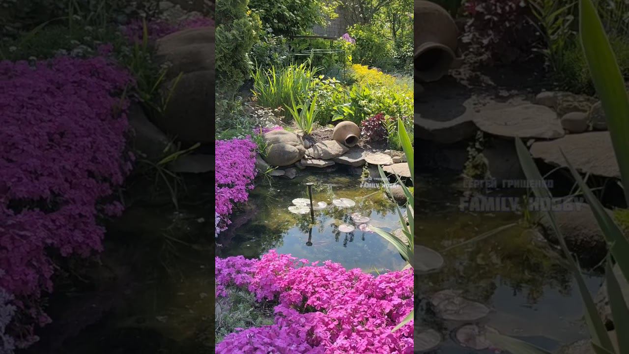 20 маямая #в нашем саду #сад смотреть онлайн