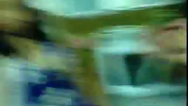 Natal Dos Masala.3gp