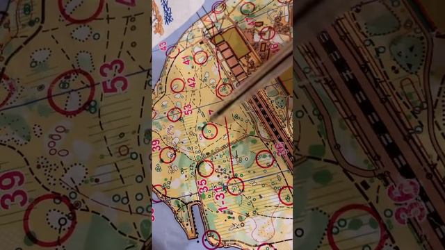 3.10.2023 ночной выбор на скорости 5 мин/км не рисуя! Мышление и ориентирование на все деньги ночью смотреть онлайн