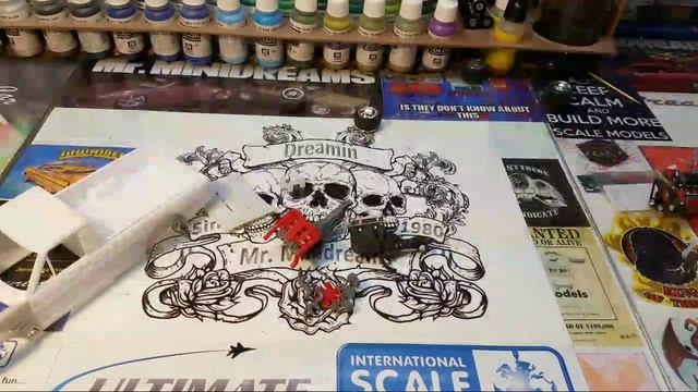 Mini's c1 Sunny Live Build Stage 4 смотреть онлайн