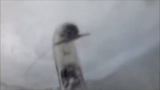 Back Flip Fail