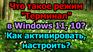 Что такое режим «Терминал» в Windows 11, 10? Как активировать, настроить?