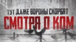 Куш или дрова -  TRUEТЕНЬ ft ГИО ПИКА