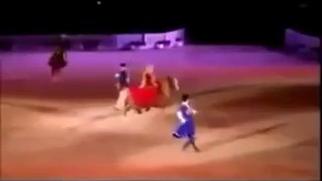 Шоу Карабахских лошадей в Лондоне. смотреть онлайн