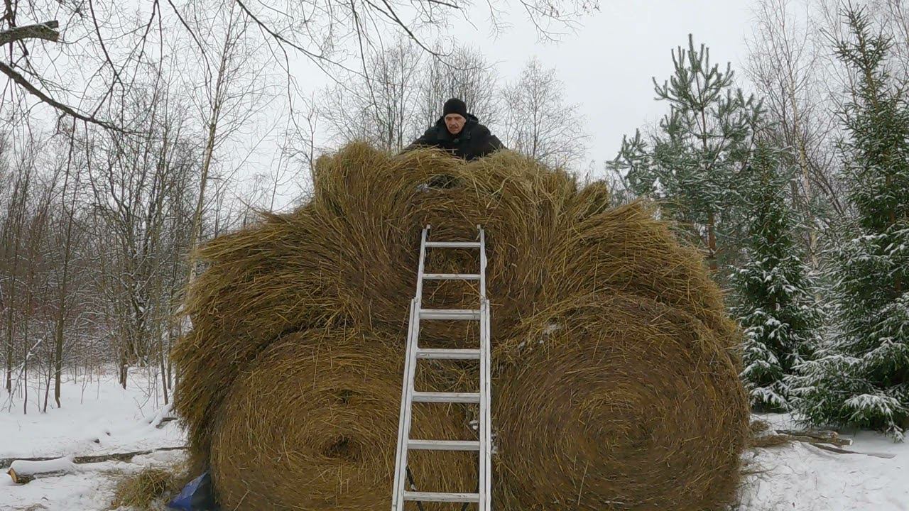 Уже "распаковываем " стог сена и надоело таскать воду корове! Будни деревенские! смотреть онлайн