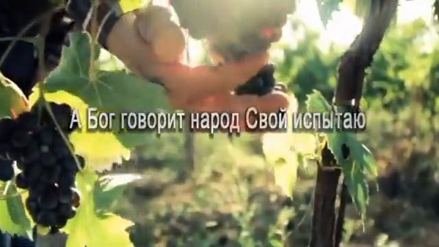 Опять опять суровые метели. (Христианская песня) смотреть онлайн