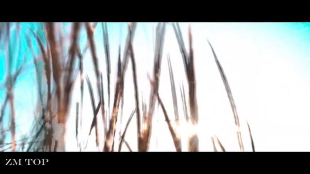 Lemon Tears - Dark Space