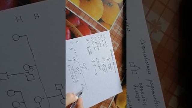 Составление родословных смотреть онлайн