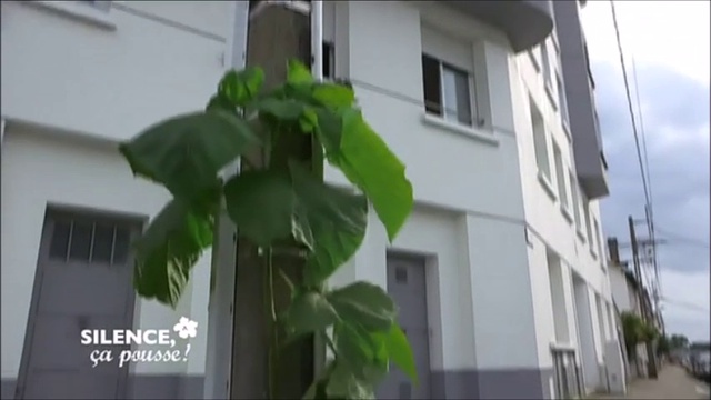 scp Les plantes des rues 29.10.2014 - à Nantes : Philippe Férard & Frédérique Soulard смотреть онлайн