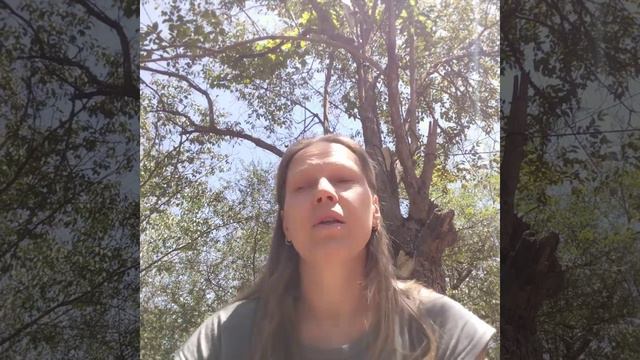 Об Испанском языке. #argentina #castellano смотреть онлайн