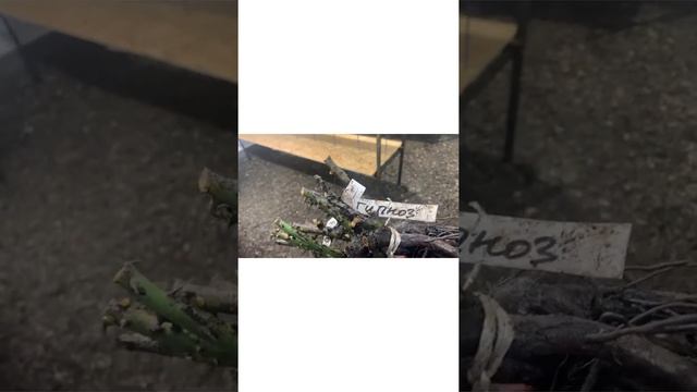 Жить! смотреть онлайн