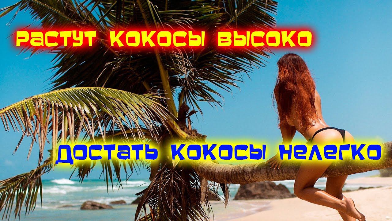 ОТКРЫТЬ КОКОС ГОЛЫМИ руками Шри-Ланка/Хиккадува смотреть онлайн