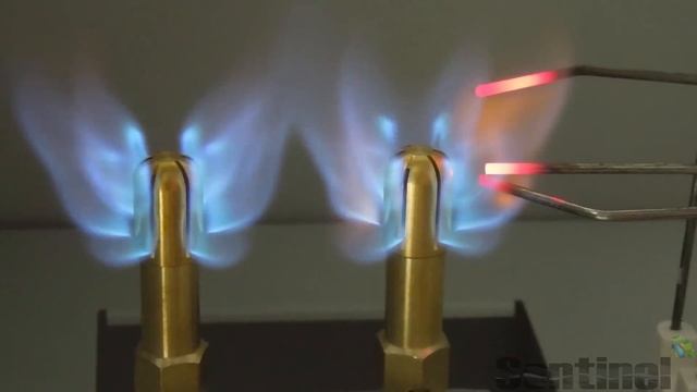 Sentinel GPS VCG-6 Variable CO2 Generator смотреть онлайн