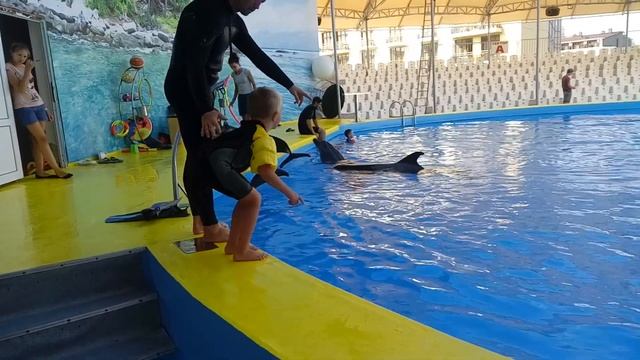 Смелый прыжок к дельфинам. И какая глубина бассейна у дельфинов? смотреть онлайн