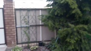 Забор из плоского шифера своими руками быстро, красиво, недорого