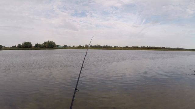 Рыбалка задалась с самого начала Осенняя рыбалка в Астрахани 2021 Нашел много грибов Ловля щуки смотреть онлайн