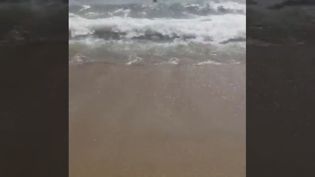 Вьетнам Нячанг 2017 март смотреть онлайн