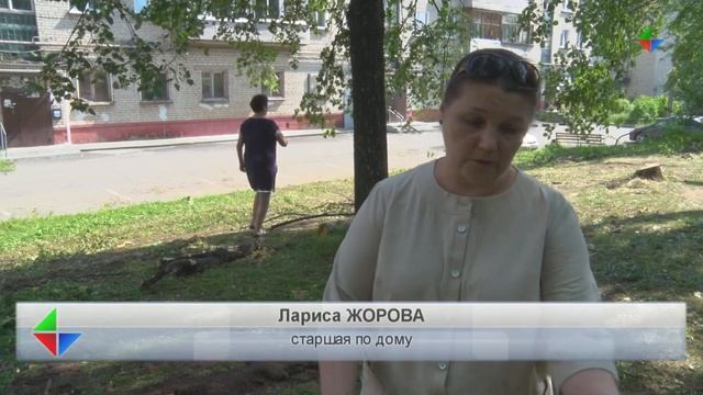 Жители недовольны – во дворе по ул. Победы, 36 срубили часть деревьев смотреть онлайн