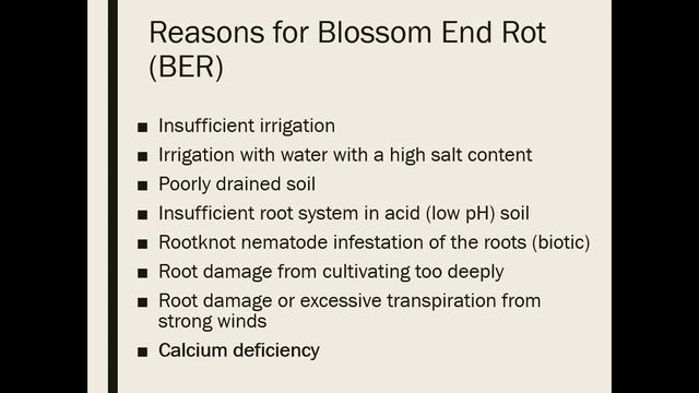Abiotic Diseases смотреть онлайн