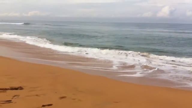 Шри Ланка с Алекс Тур ;-) смотреть онлайн