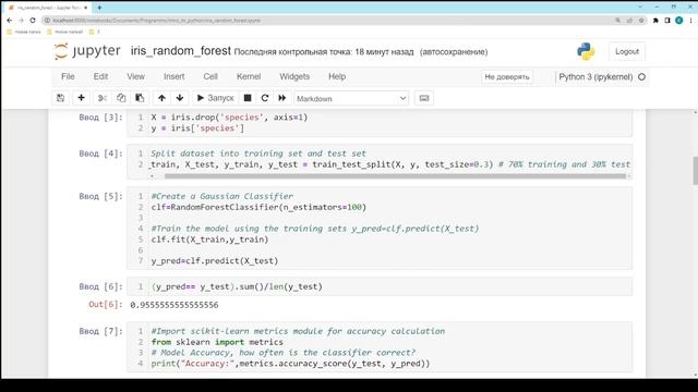 iris randomforest смотреть онлайн