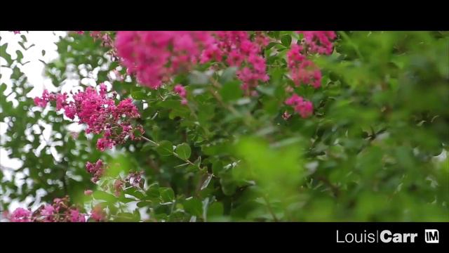 31 Forrester Crescent - Louis Carr - Cherrybrook смотреть онлайн