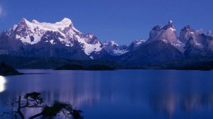 Саид Чахкиев."ЗВЕЗДА"