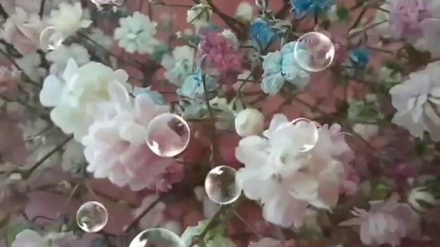 Шандэль Мандэль Разоблачение Накрутка просмотров Не умеет готовить Манты Несчастная Мать смотреть онлайн