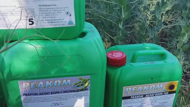 Листовая подкормка Бобовых. Питание микроудобрениями по Сое Гороху Реаком Бобовые. смотреть онлайн