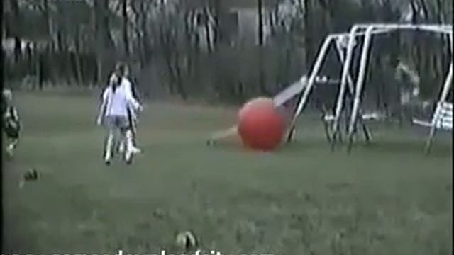 Хорошие смешные и интересные видеоролики с участием котиков и собачек