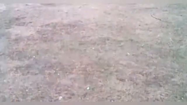 Primeiro vídeo do drone nyr e99 pro 2 ( shopee ) смотреть онлайн