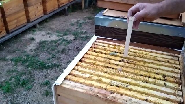 Варостоп как проверка после Глицерина и Щавлевой к-ты 1 смотреть онлайн
