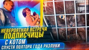 Подписчица узнала своего кота увидев мои ролики. Полтора года они его искали. История Тоффи-Тади.