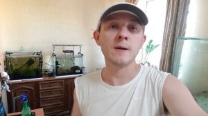 Биотопный аквариум на 500 литров - создание биотопного аквариума.