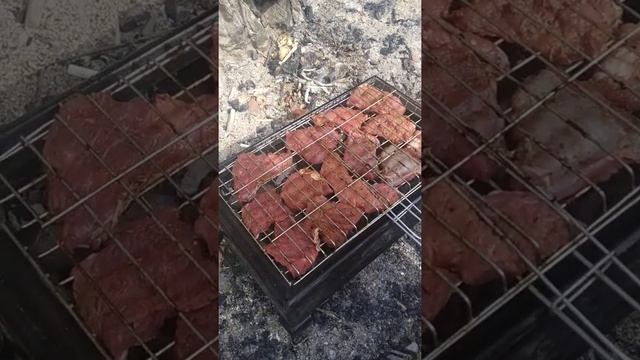 Узбеки отдыхают Пит Ник на Пляже Шиле Турция Стамбула смотреть онлайн