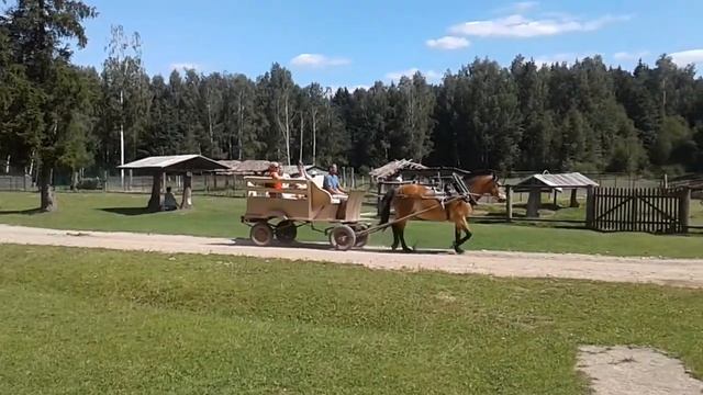 Дудутки, катание на лошадях в повозке. смотреть онлайн