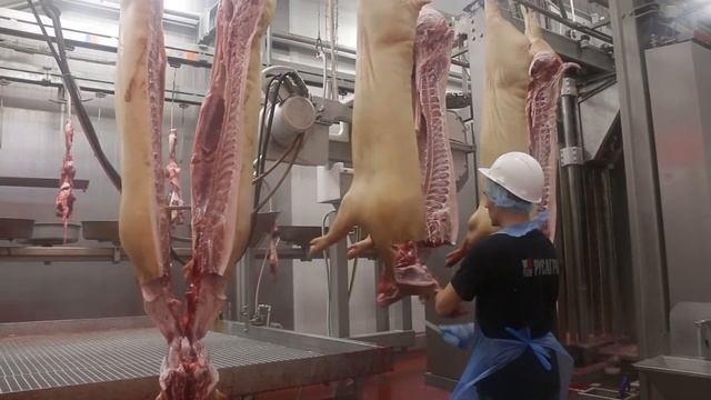 Будни мясного бизнес-направления смотреть онлайн