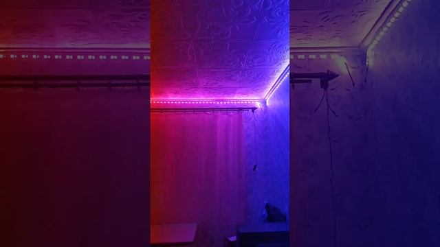 Посылка из Китая светодиодная лента часть 3 смотреть онлайн