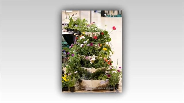 Многоярусные КЛУМБЫ смотреть онлайн