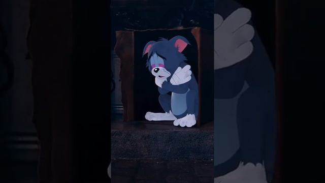 Почему кот грустит смотреть онлайн