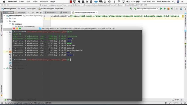Spring Boot Executing spring-boot:run with Maven Wrapper смотреть онлайн
