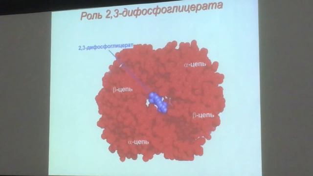 Биохимия печени 2. Тимин. смотреть онлайн