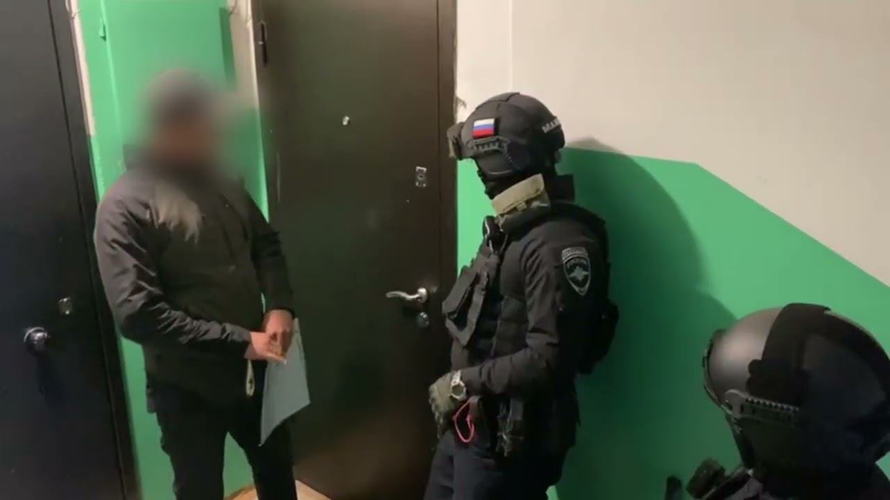 В Приангарье полицейские пресекли деятельность «черных лесорубов» смотреть онлайн