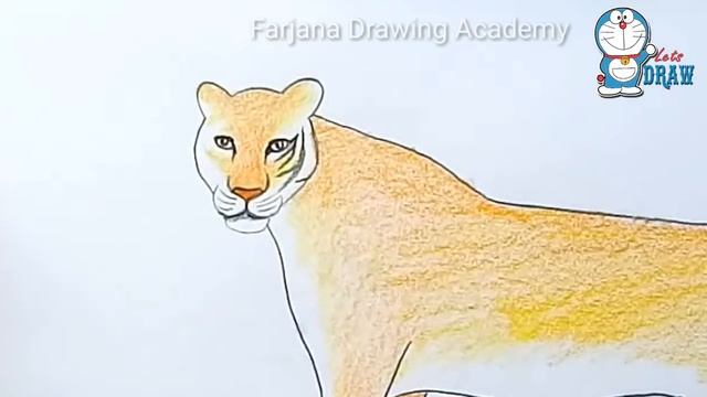 How to draw a tiger - step by step drawing смотреть онлайн
