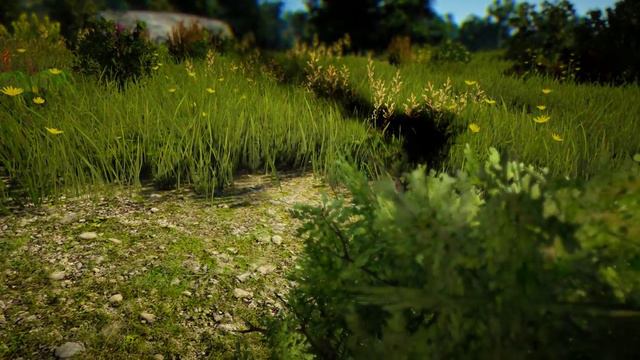 Black Desert Первые шаги смотреть онлайн