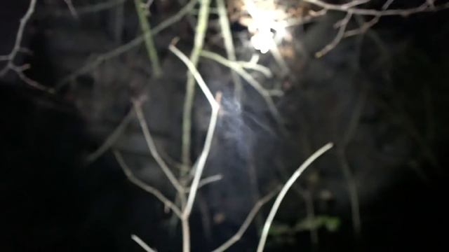 Ночь в Замке, Где Постоянно Видят Призраков смотреть онлайн