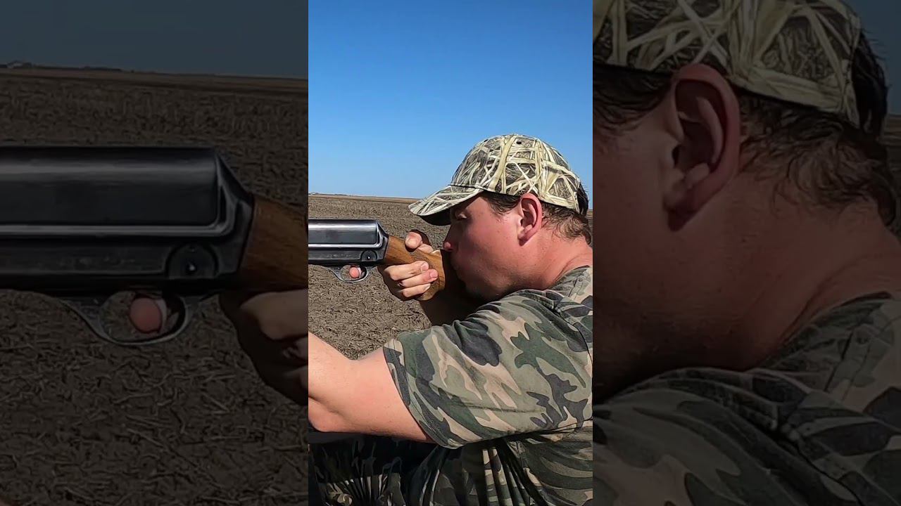 МЦ 22-02 стрельба пулей на 70 метров. Какой пулей стрелять? #охотаназайца #hunting смотреть онлайн