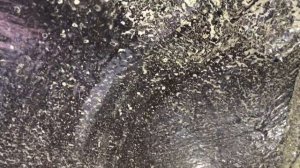 ЖИДКИЕ ПОДКРЫЛКИ ИХ СОСТОЯНИЕ И ВНЕШНИЙ ВИД СПУСТЯ БОЛЕЕ МЕСЯЦА ПОСЛЕ ОБРАБОТКИ.